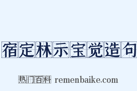 宿定林示宝觉造句是什么意思的图片
